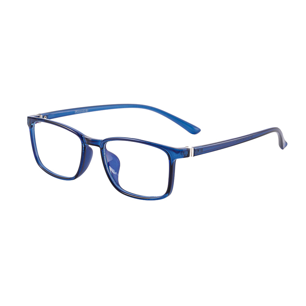 Telford Computer Distance Glasses