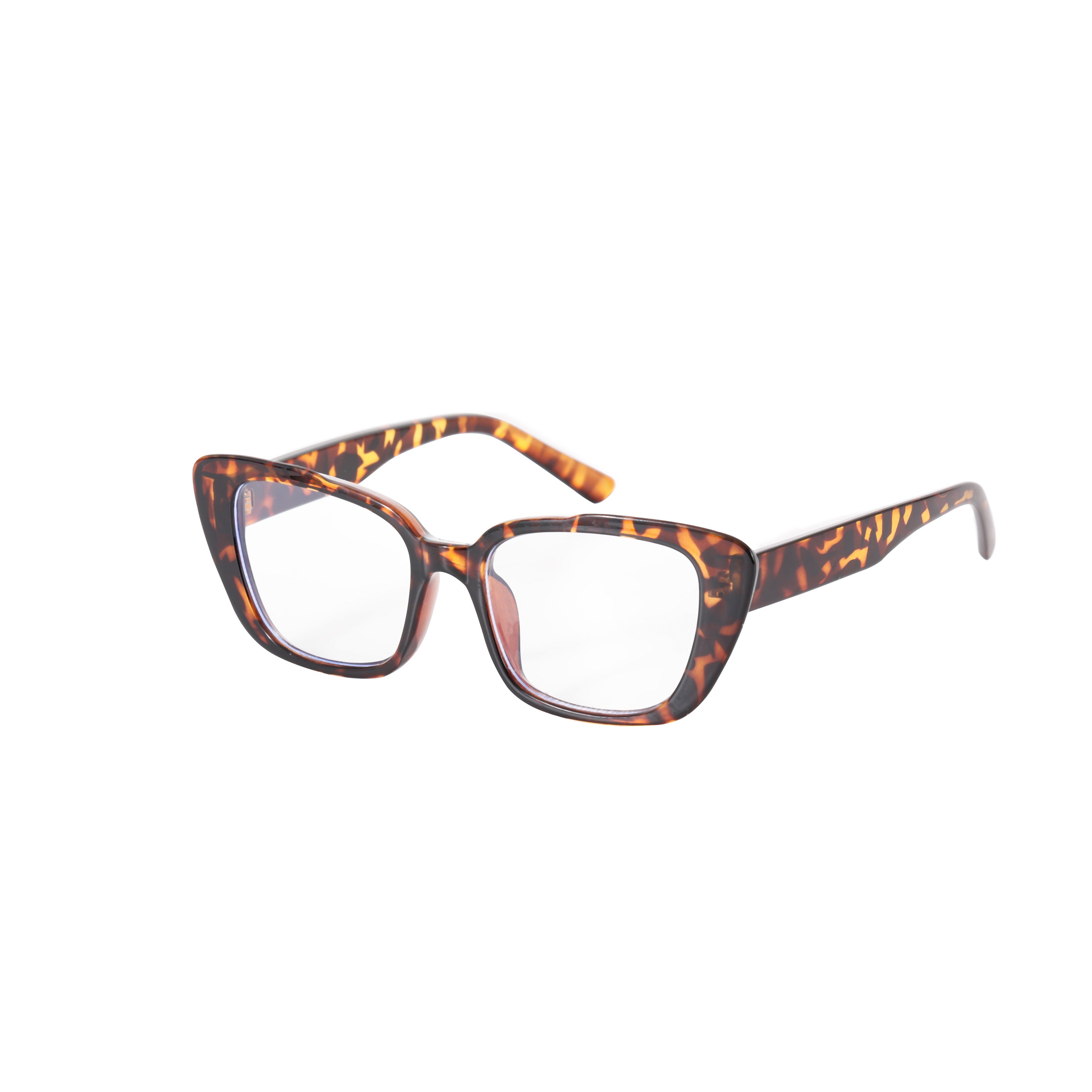 Eastbourne Distance Glasses